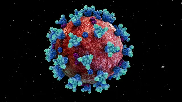 SARS-CoV-2 (COVID-19)