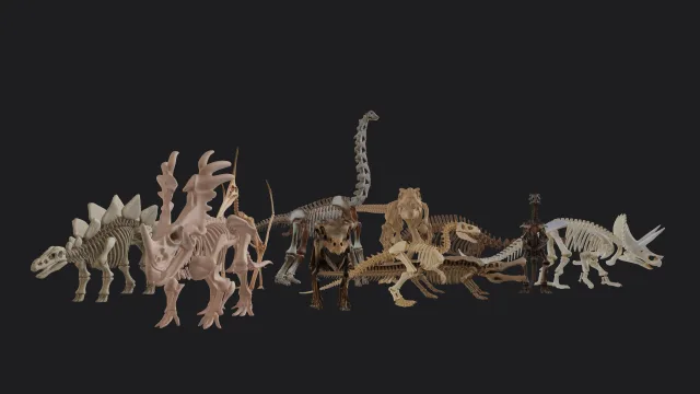 Dinosaur skeletons